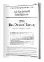 2018 Big Dealer Report